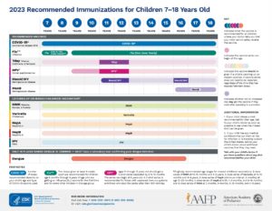 Childhood immunization schedule 7-18 years old